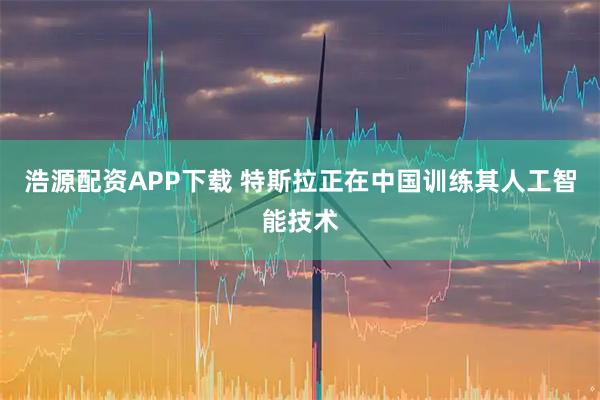浩源配资APP下载 特斯拉正在中国训练其人工智能技术