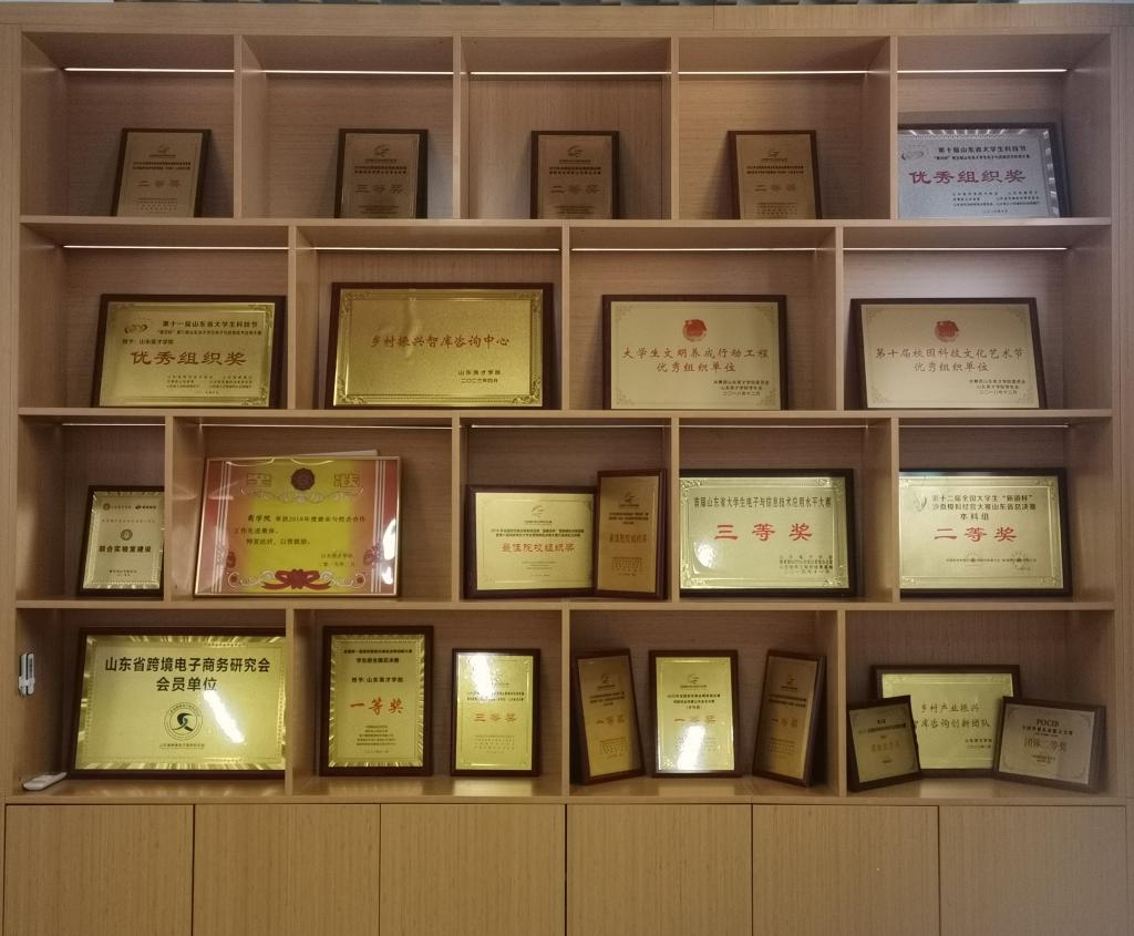 获奖荣誉